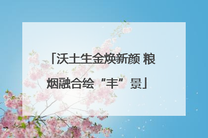 沃土生金焕新颜 粮烟融合绘“丰”景