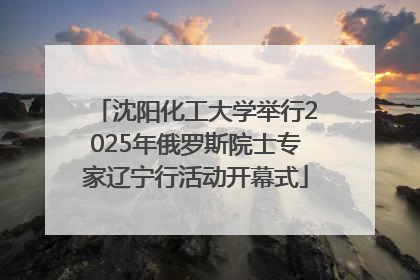沈阳化工大学举行2025年俄罗斯院士专家辽宁行活动开幕式