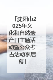 沈阳市2025年文化和自然遗产日主题活动暨公众考古活动季启幕