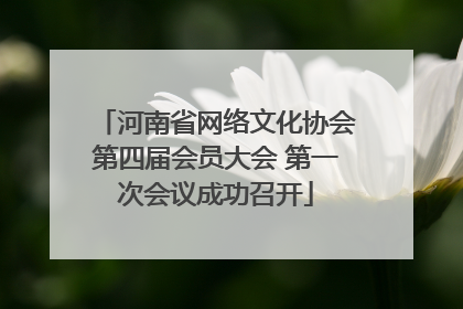 河南省网络文化协会第四届会员大会 第一次会议成功召开