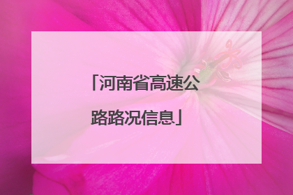 河南省高速公路路况信息