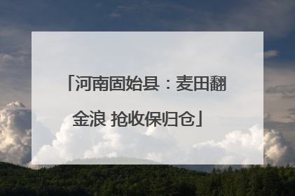 河南固始县：麦田翻金浪 抢收保归仓