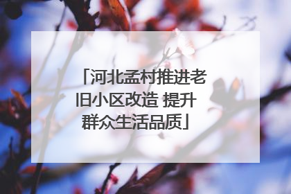 河北孟村推进老旧小区改造 提升群众生活品质
