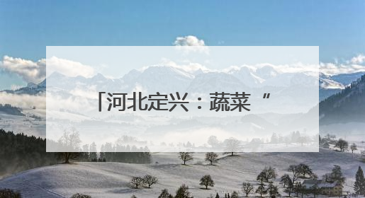 河北定兴：蔬菜“蔬”写产业新篇章