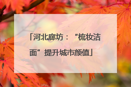 河北廊坊：“梳妆洁面”提升城市颜值