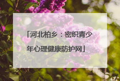 河北柏乡：密织青少年心理健康防护网