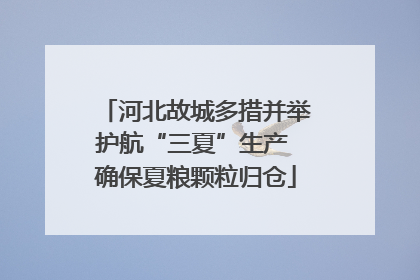 河北故城多措并举护航“三夏”生产 确保夏粮颗粒归仓