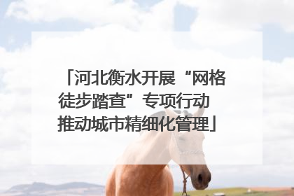 河北衡水开展“网格徒步踏查”专项行动 推动城市精细化管理
