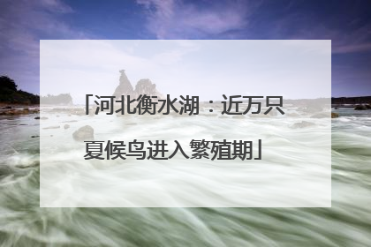 河北衡水湖：近万只夏候鸟进入繁殖期