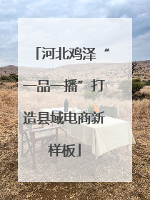 河北鸡泽“一品一播”打造县域电商新样板