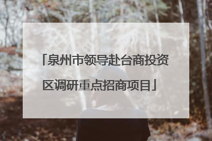 泉州市领导赴台商投资区调研重点招商项目