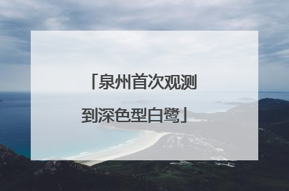 泉州首次观测到深色型白鹭