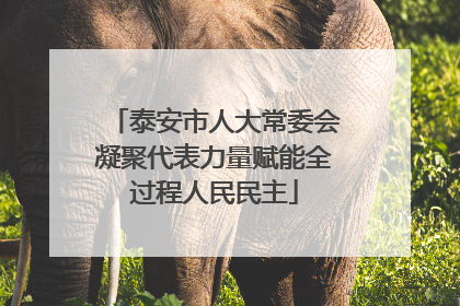 泰安市人大常委会凝聚代表力量赋能全过程人民民主