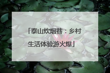 泰山炊烟巷：乡村生活体验游火爆