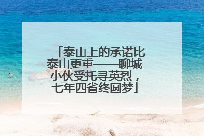 泰山上的承诺比泰山更重——聊城小伙受托寻英烈，七年四省终圆梦