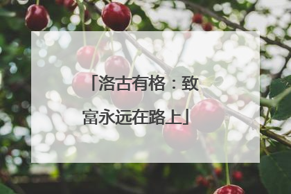 洛古有格：致富永远在路上