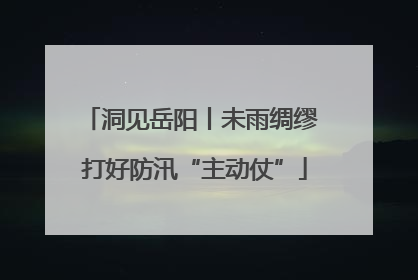 洞见岳阳丨未雨绸缪 打好防汛“主动仗”