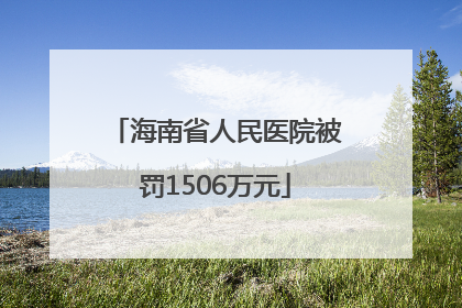 海南省人民医院被罚1506万元