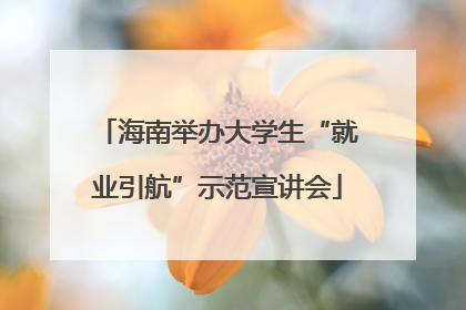 海南举办大学生“就业引航”示范宣讲会