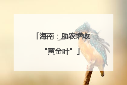 海南：助农增收 “黄金叶”
