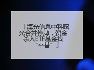 海光信息中科曙光合并停牌，资金杀入ETF基金找“平替”