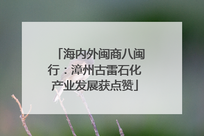 海内外闽商八闽行：漳州古雷石化产业发展获点赞