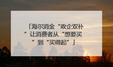 海尔消金“政企双补”让消费者从“想要买”到“买得起”