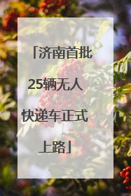 济南首批25辆无人快递车正式上路