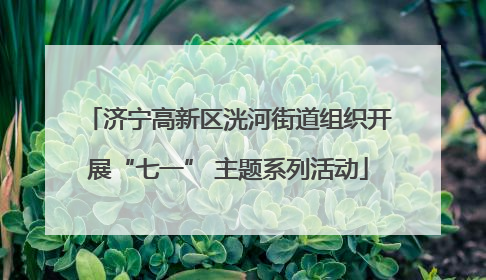 济宁高新区洸河街道组织开展“七一” 主题系列活动