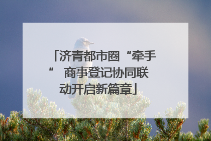 济青都市圈“牵手” 商事登记协同联动开启新篇章