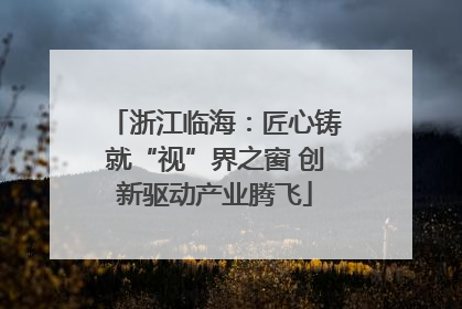 浙江临海：匠心铸就“视”界之窗 创新驱动产业腾飞