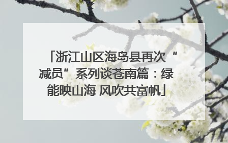 浙江山区海岛县再次“减员”系列谈苍南篇：绿能映山海 风吹共富帆