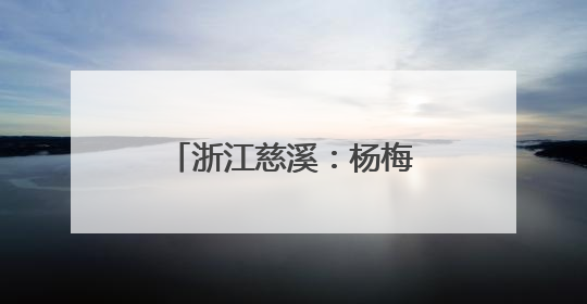 浙江慈溪：杨梅之乡开启丰收季
