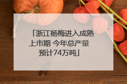 浙江杨梅进入成熟上市期 今年总产量预计74万吨