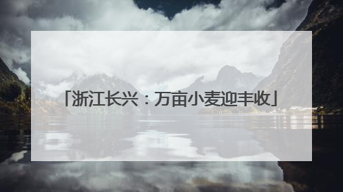 浙江长兴：万亩小麦迎丰收