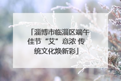 淄博市临淄区端午佳节“艾”意浓 传统文化焕新彩