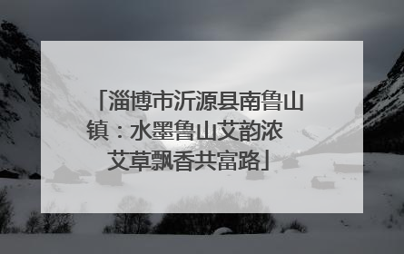 淄博市沂源县南鲁山镇：水墨鲁山艾韵浓 艾草飘香共富路