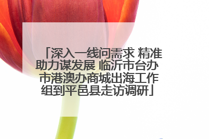 深入一线问需求 精准助力谋发展 临沂市台办 市港澳办商城出海工作组到平邑县走访调研
