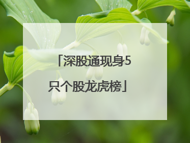 深股通现身5只个股龙虎榜