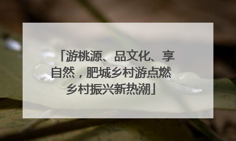 游桃源、品文化、享自然，肥城乡村游点燃乡村振兴新热潮