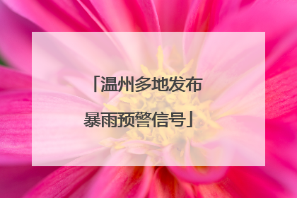 温州多地发布暴雨预警信号