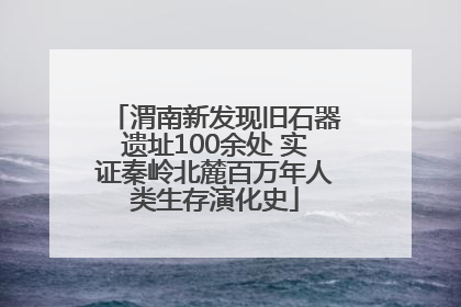 渭南新发现旧石器遗址100余处 实证秦岭北麓百万年人类生存演化史