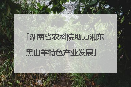 湖南省农科院助力湘东黑山羊特色产业发展