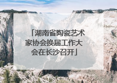 湖南省陶瓷艺术家协会换届工作大会在长沙召开