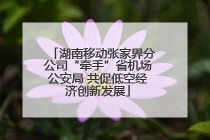湖南移动张家界分公司“牵手”省机场公安局 共促低空经济创新发展