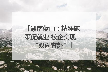 湖南蓝山：精准施策促就业 校企实现“双向奔赴”