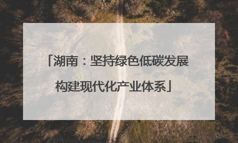湖南：坚持绿色低碳发展 构建现代化产业体系