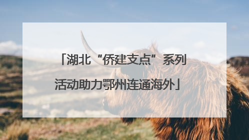 湖北“侨建支点”系列活动助力鄂州连通海外