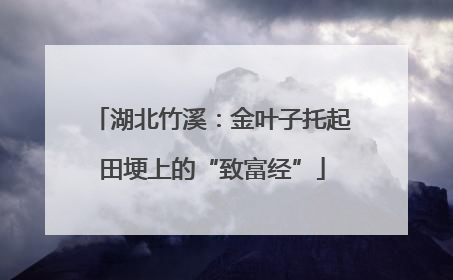 湖北竹溪：金叶子托起田埂上的“致富经”