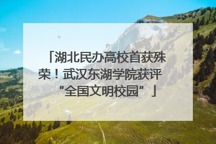 湖北民办高校首获殊荣！武汉东湖学院获评“全国文明校园”